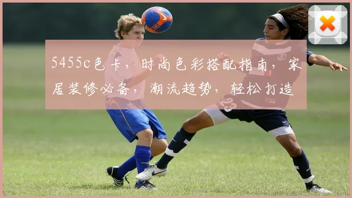 5455c色卡，时尚色彩搭配指南，家居装修必备，潮流趋势，轻松打造个性空间