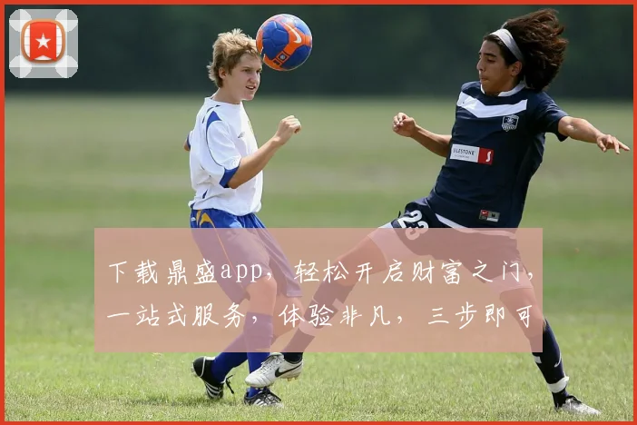 下载鼎盛app，轻松开启财富之门，一站式服务，体验非凡，三步即可拥有