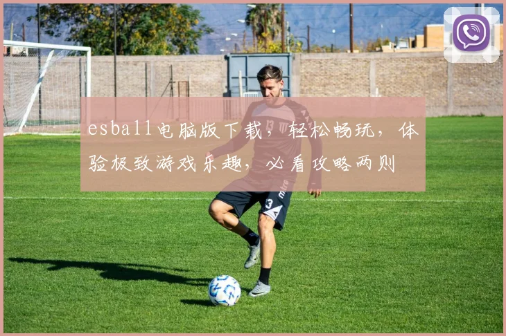 esball电脑版下载，轻松畅玩，体验极致游戏乐趣，必看攻略两则